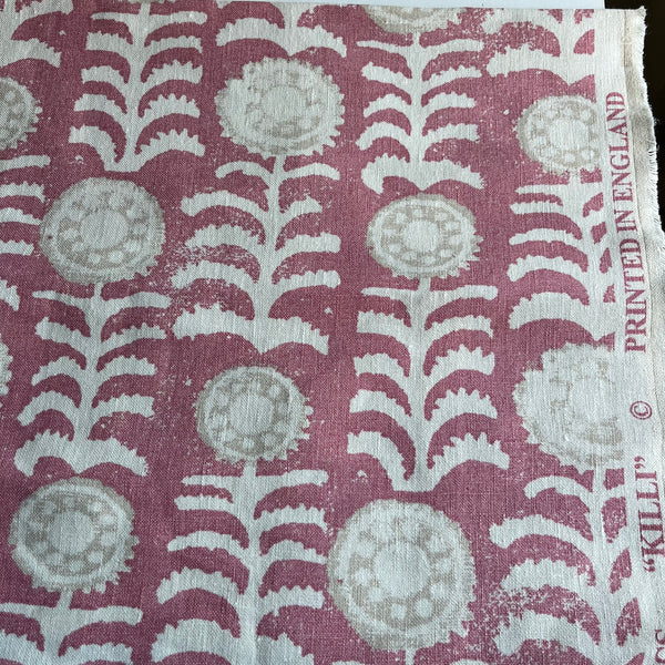 Penny Morrison - Pink Killi