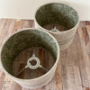 Peony & Sage Fidra in Seaweed on Dune - Offcut