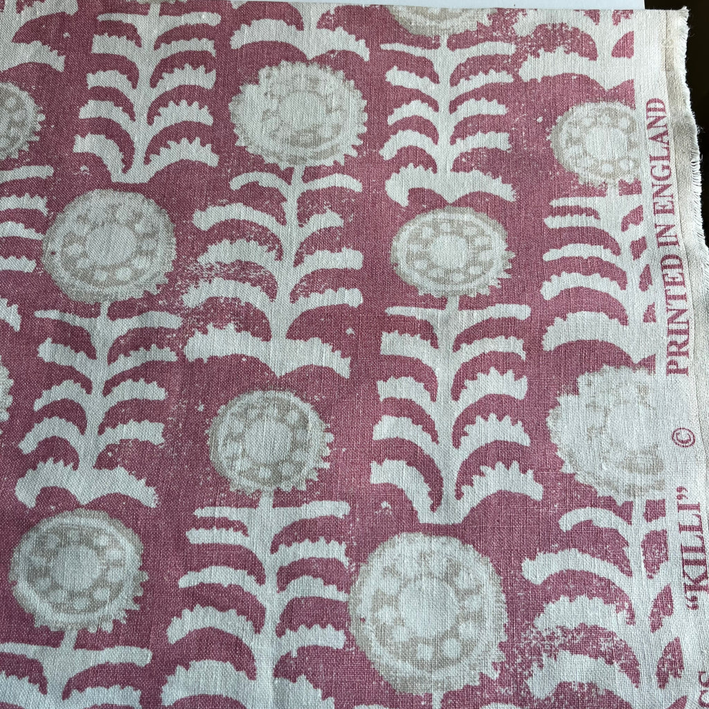 Penny Morrison - Pink Killi