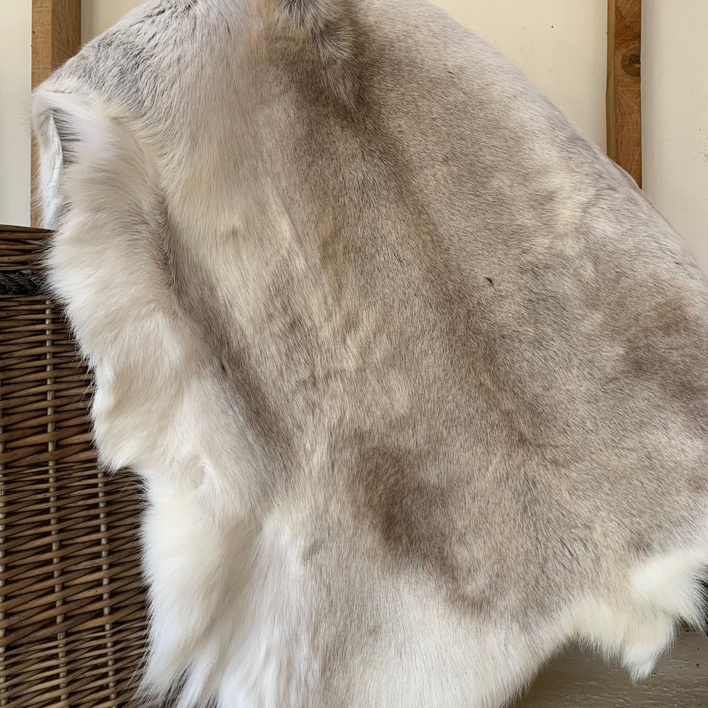 Luxury Reindeer Rug 8
